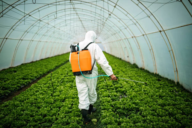 Best Residential Pest Control  in Rancho Cumonga, CA