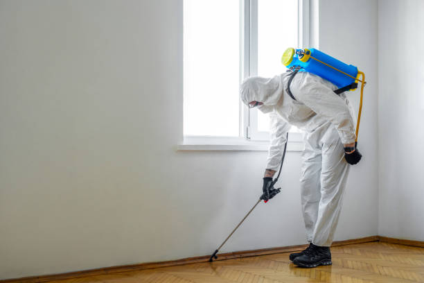 Best Residential Pest Control  in Rancho Cumonga, CA