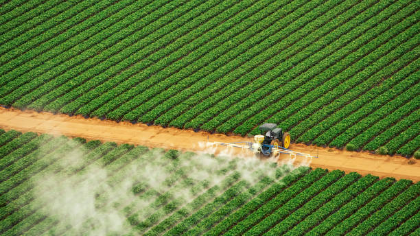 Best Insect Control  in Rancho Cumonga, CA