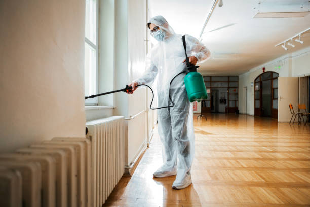 Wasp Removal Services in Rancho Cucamonga, CA