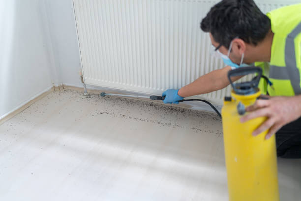 Best Cockroach Control Services  in Rancho Cumonga, CA
