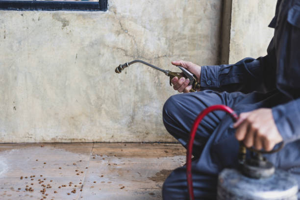 Trusted Rancho Cucamonga, CA Pest Control Experts